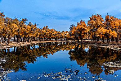 SIE领导层再次变更：西野英明成为唯一CEO